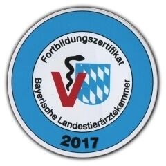 Fortbildungen 2017