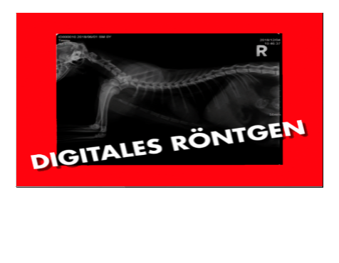 Digitales Röntgen